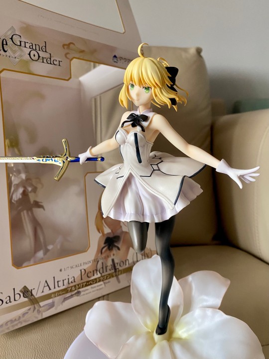 海蓝宝石 saber lily