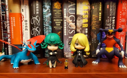 小智  好久不见