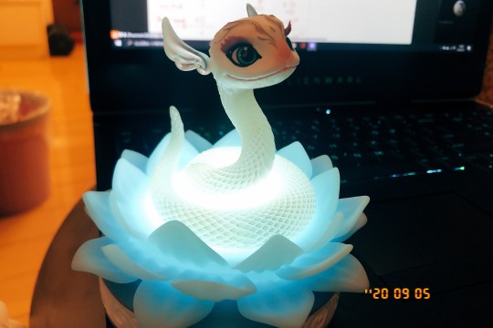 蛮好看的  翻了好几倍价格