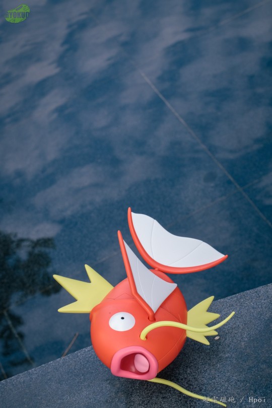 宝可梦 big01 鲤鱼王