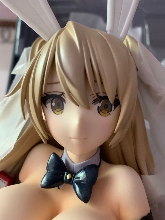 里中ののかバニー点评