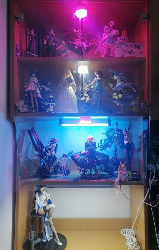 日常随拍（杀马特灯效ver.）