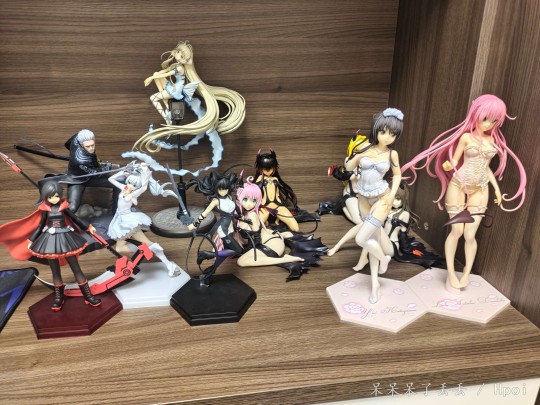 整理结束，来张全家福(๑˙❥˙๑)