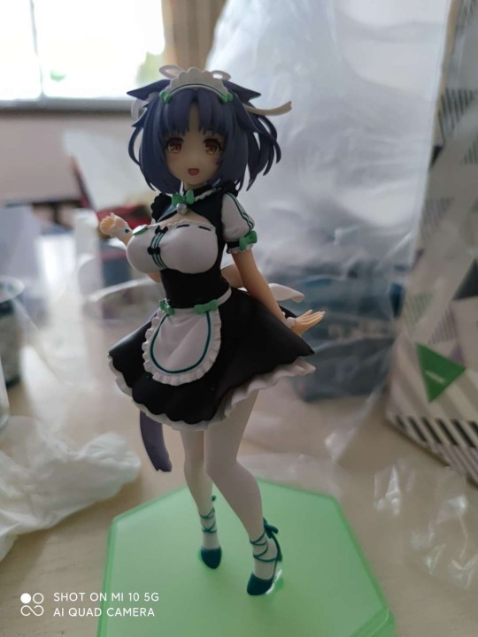 猫娘肉桂，实拍图。我除了香草，最喜欢的猫娘就是肉桂了