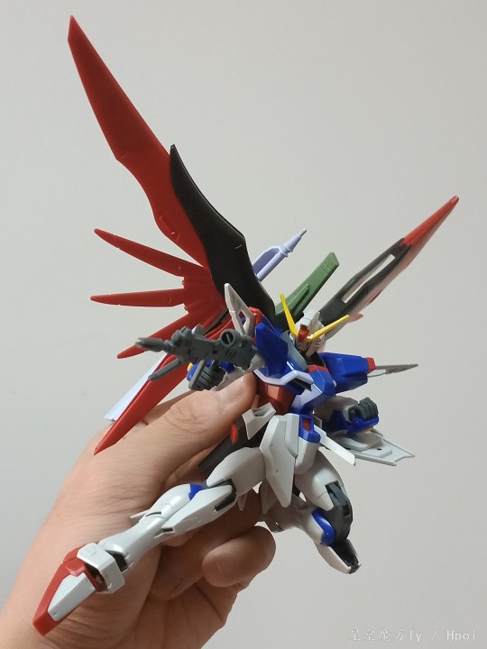 HGCE 新生 命运！