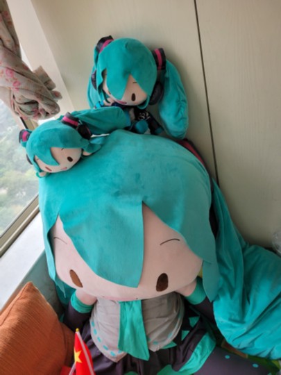 FUFU＼＼\\٩( 'ω' )و //／／