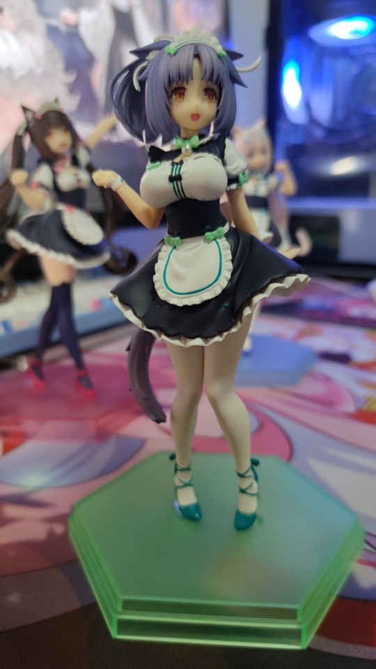 POP猫娘乐园 肉桂