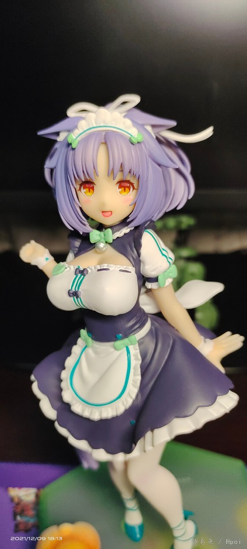 POP  猫娘乐园 桂