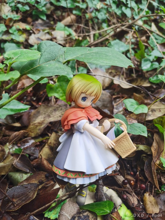 ALTER  POP WONDERLAND 小红帽