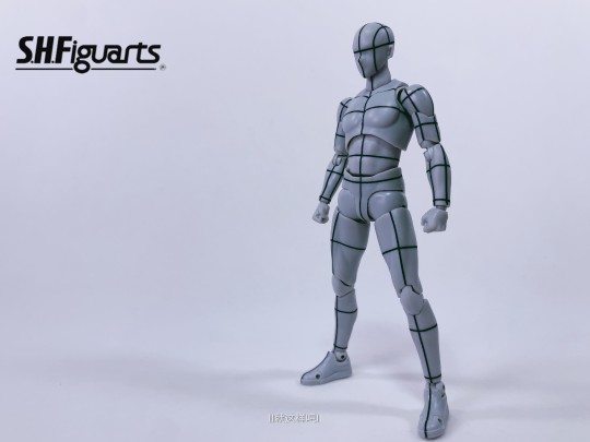 shf 男素体 -辅助线-