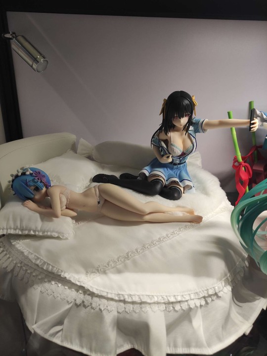 给蕾姆找了个新室友