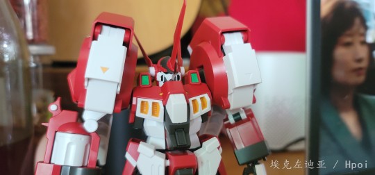 一言难尽的4000日元定价hg