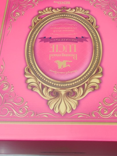 锁链 兔女郎女仆 露西