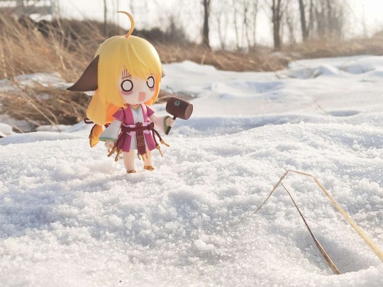 出门散步顺便带上苏苏