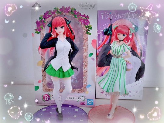 中野二乃，与君同行一番赏