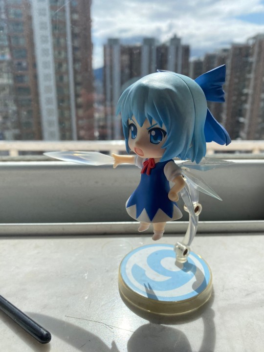 笨⑨