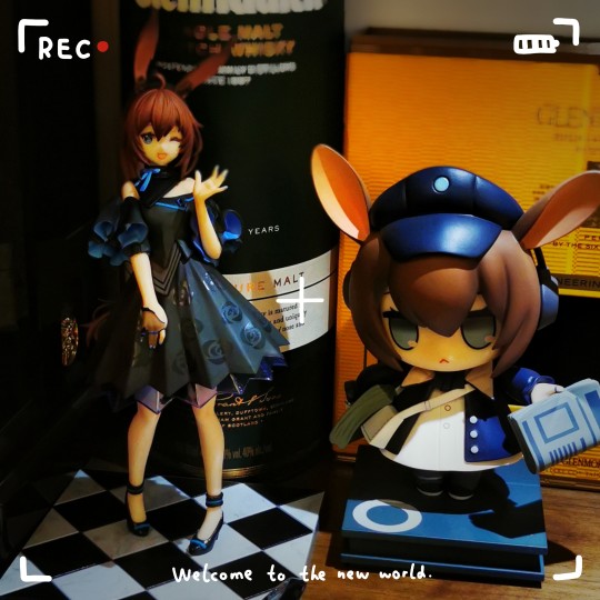 阿米娅庆典到货随拍（with报童阿米娅）