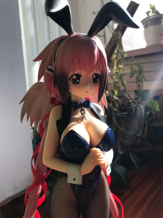 伊卡洛斯 兔女郎