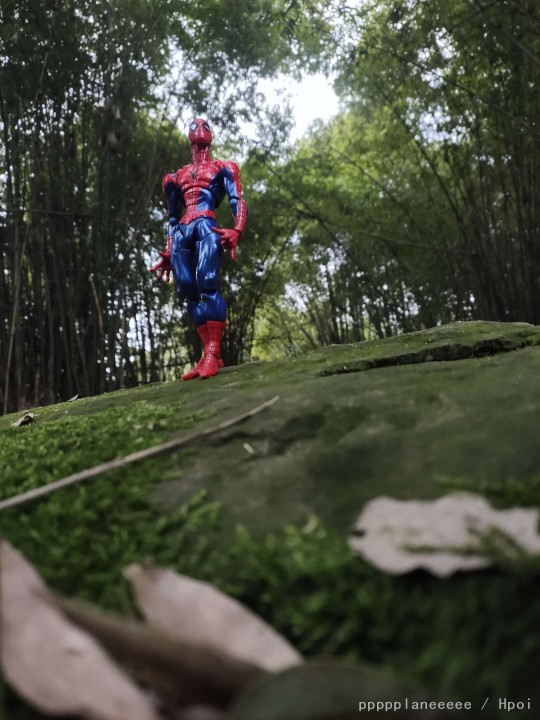 蜘蛛侠4: 英雄远征2 英雄入川（doge）