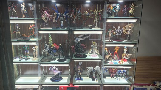 入坑3年柜子小记