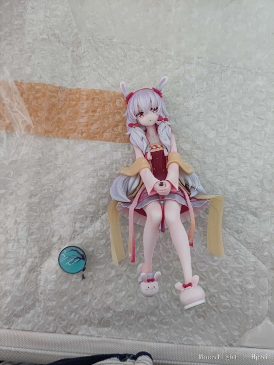 拉菲·白兔迎春，到货水