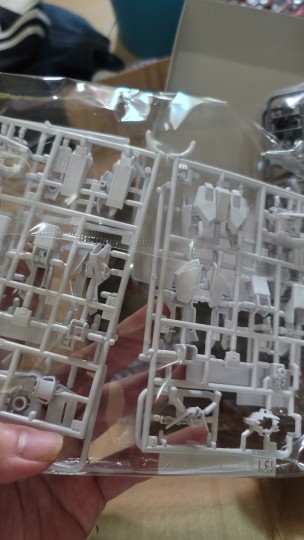 仔这个阳光明媚的情人节，有一