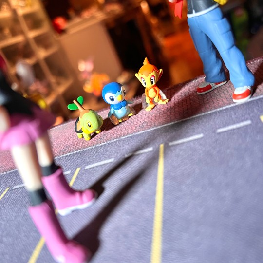 宝可梦比例世界 神奥地区第一弹