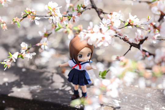 Phat! 擅长捉弄的高木同学 高木同学