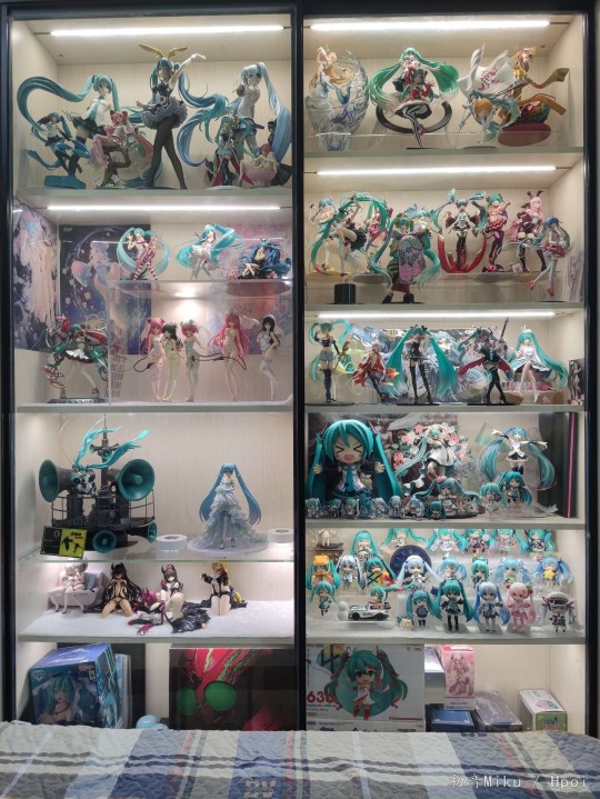 入坑一年半了，中秋节才入的柜子，一个月只能回两次家，前前后后花了两个月时间才把等比初音全部放上去。最下面还有几十个粘土人还没放Σ(￣ロ￣lll)