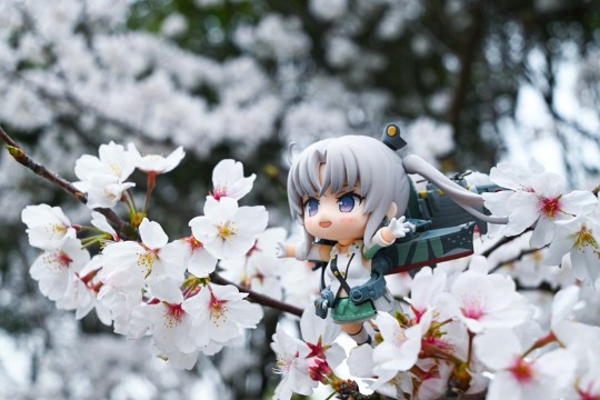 跟着秋津洲去探险吧！