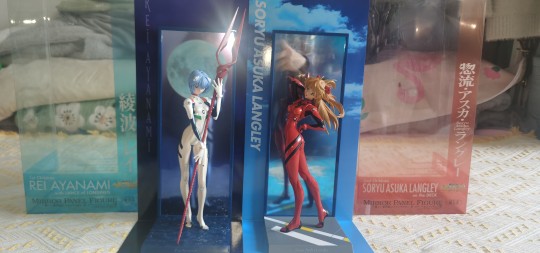 给大家介绍一下我的大老婆和二老婆