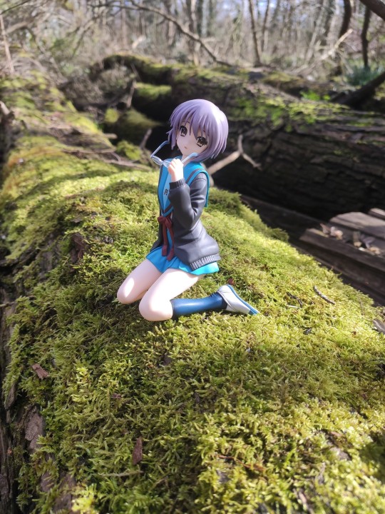 chara-ani 凉宫春日的忧郁 长门有希 制服Ver.