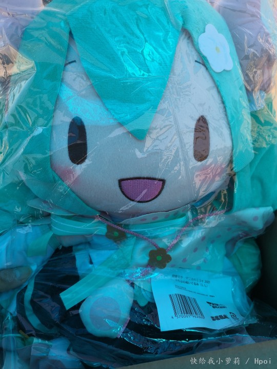 魔法未来2021  fufu