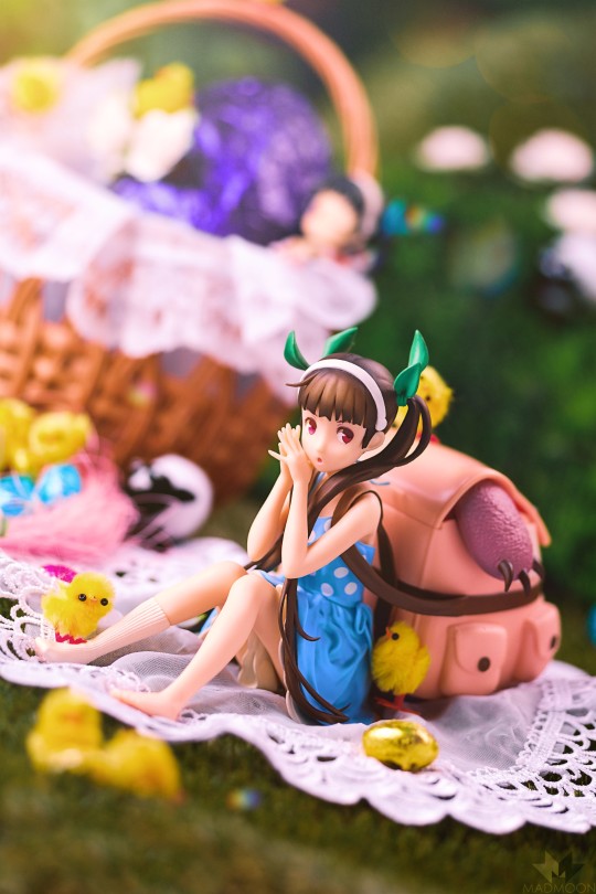 眼镜厂 物语系列 八九寺真宵