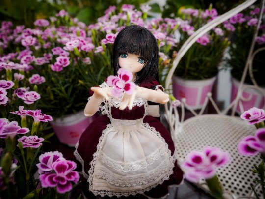 美绪有点呆,可能春天来了~