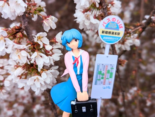 SEGA EVA 绫波丽 Spring Wind