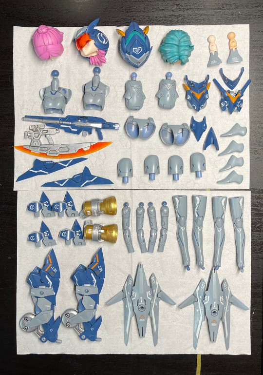 纯纯的手涂｜低可视走鹃雀蜂