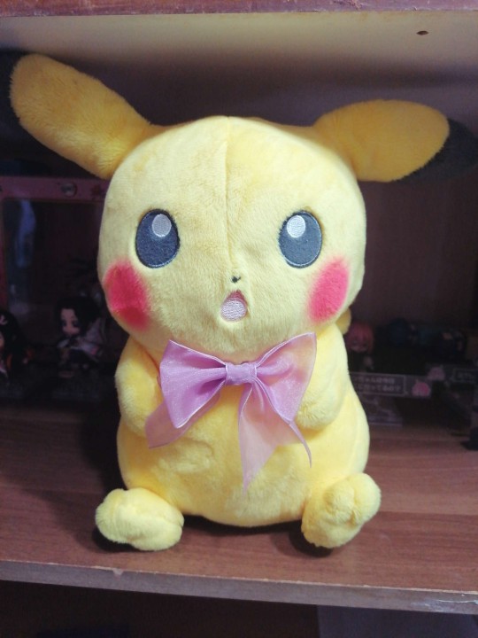 【补档】宝可梦一番赏C赏 皮卡丘毛绒玩偶