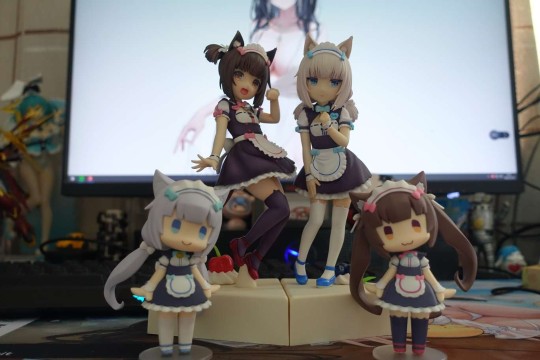 可可爱爱，大个脑袋