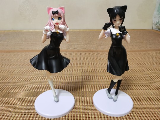 四宫辉夜&藤原千花