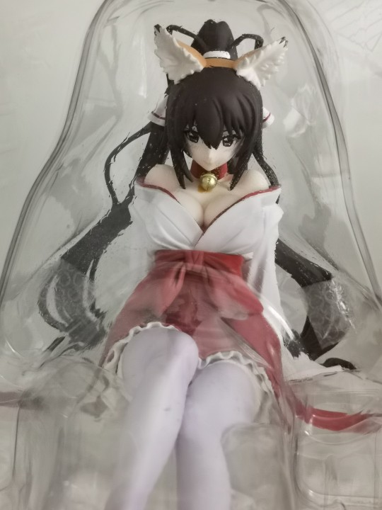 Freeing Infinite Stratos 筱之之帚 狐巫女 铃铛色移