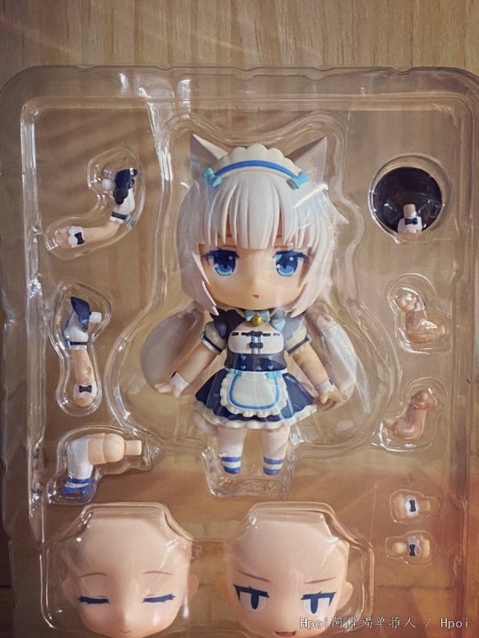 （纪念）低价出了一只香子兰猫猫