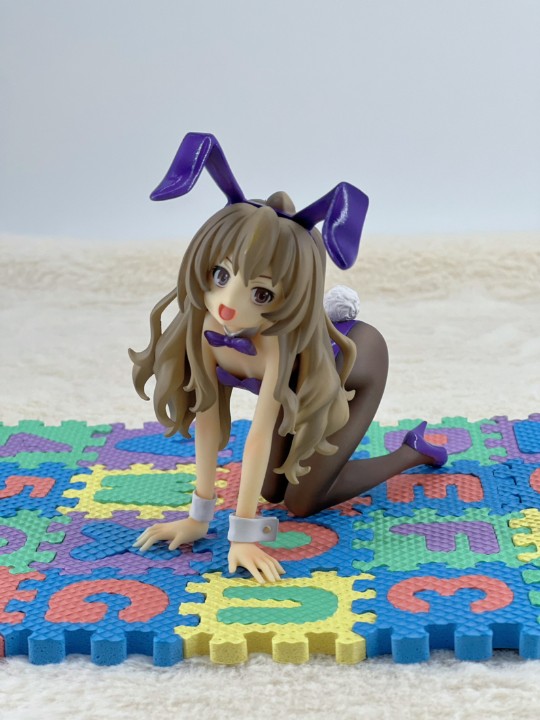 逢坂大河 兔女郎