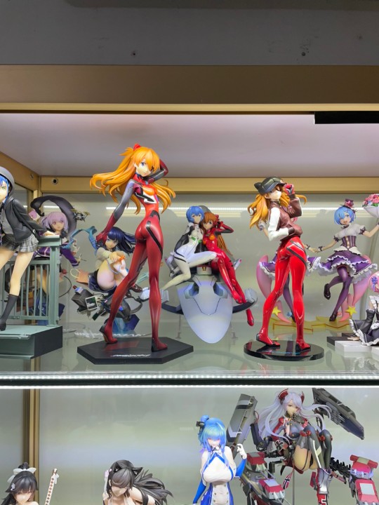 再版明日香到货