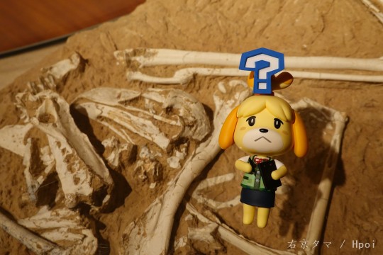 争取努力慢慢增加照片