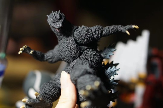 渣拍的几张终焉