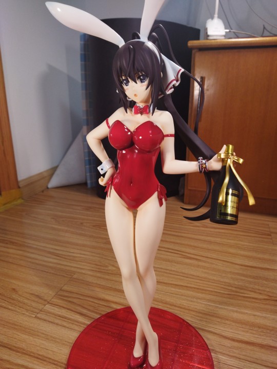 freeing 篠之之帚 生足兔女郎.ver