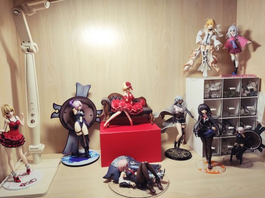 新人入坑的柜展