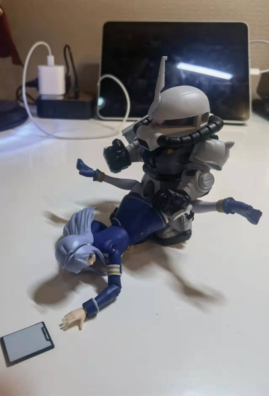 被扎古玩坏的蕾娜