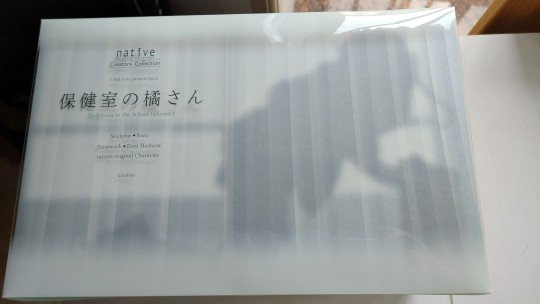 年轻人的第一个耻物